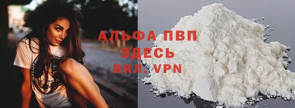 PSILOCYBIN Волосово