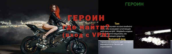 прущие грибы Волоколамск
