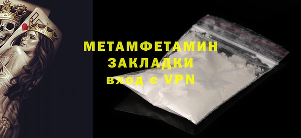 прущие грибы Волоколамск