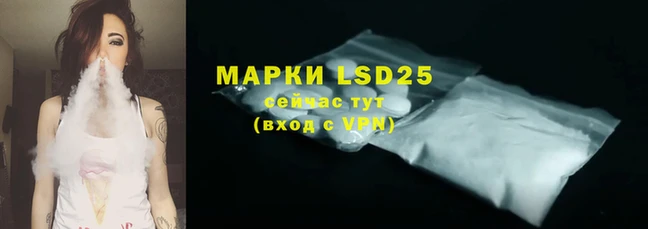 PSILOCYBIN Волосово