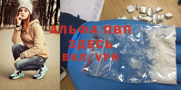 PSILOCYBIN Волосово