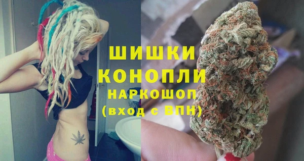 PSILOCYBIN Волосово