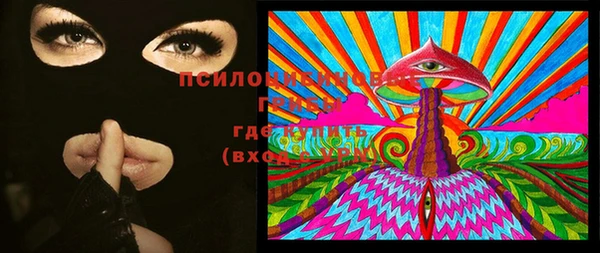 индика Вязники
