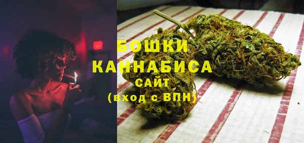 PSILOCYBIN Волосово