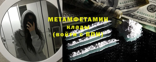 прущие грибы Волоколамск