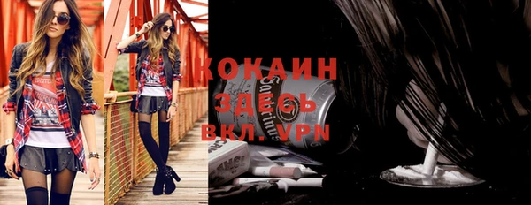 прущие грибы Волоколамск