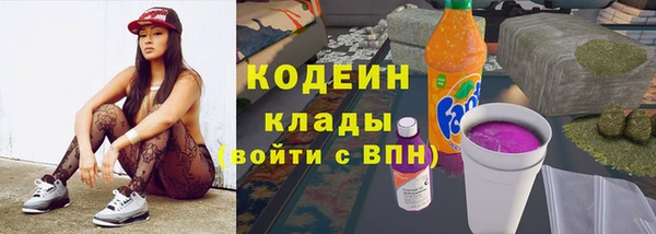 прущие грибы Волоколамск