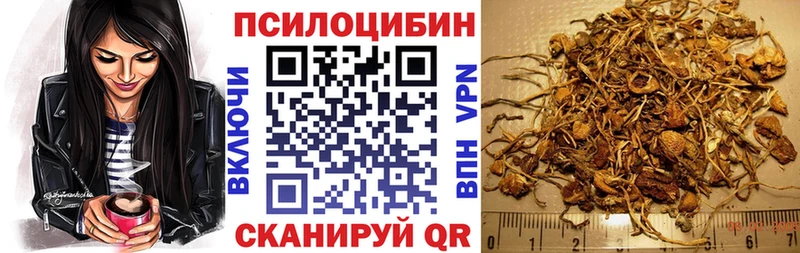 Купить Солигалич Псилоцибиновые грибы мухоморы